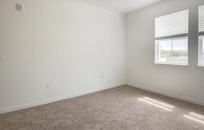 a bedroom with two windows and a carpeted floor