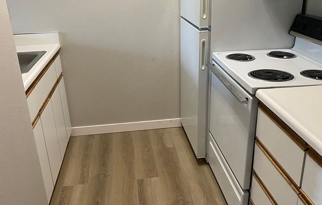 Studio, 1 bath, 441 sqft, $1,330, Unit 410