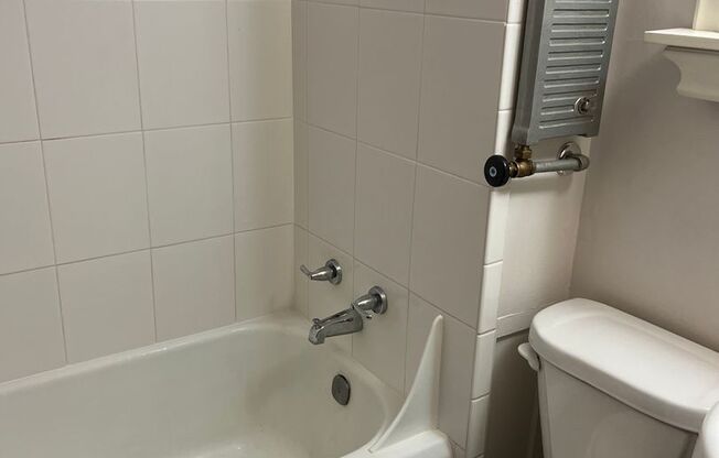 Studio, 1 bath, 325 sqft, $595, Unit 2419 #10