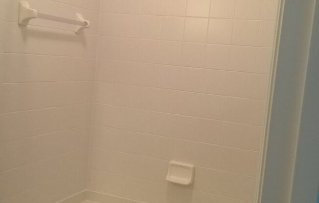Soaking Tub and Tile Shower