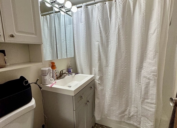 1 bed, 1.5 baths, 750 sqft, $3,000, Unit 307