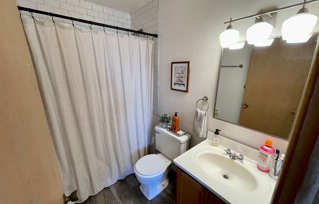 1 bed, 1 bath, $1,095, Unit 309