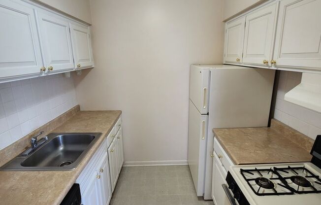 1 bed, 1 bath, 454 sqft, $1,275, Unit D-31