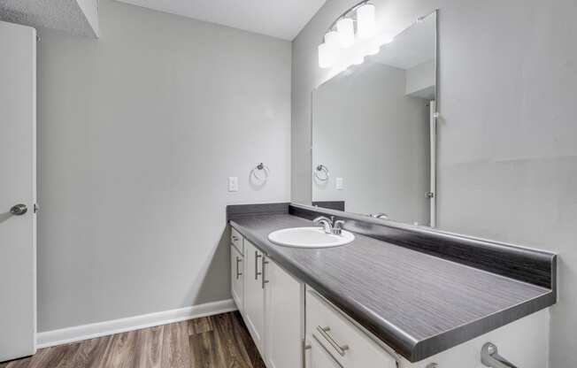 Bathroom With Large Vanity & Countertop