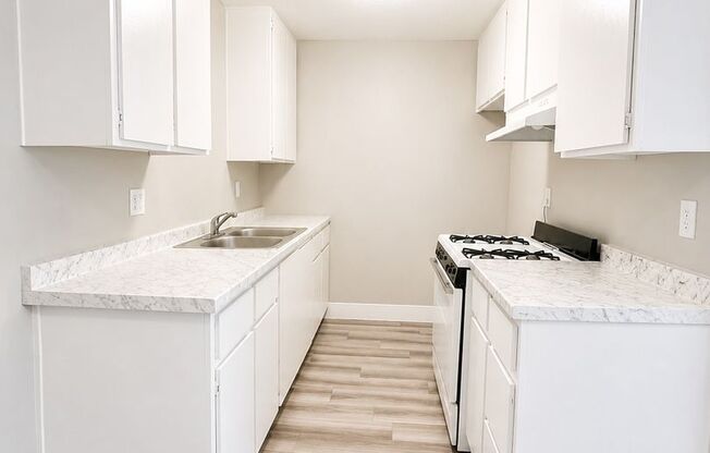 1 bed, 1 bath, 625 sqft, $1,625, Unit 101