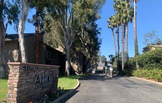 Partner-provided photo for $1775 unit