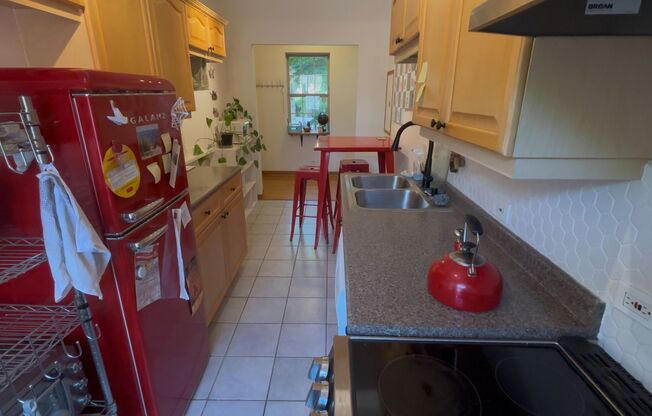 Modern Rogers Park 1 Bed Apartment
