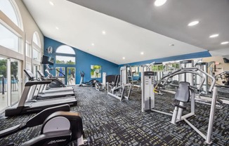 A gym with treadmills, weights, and exercise equipment.