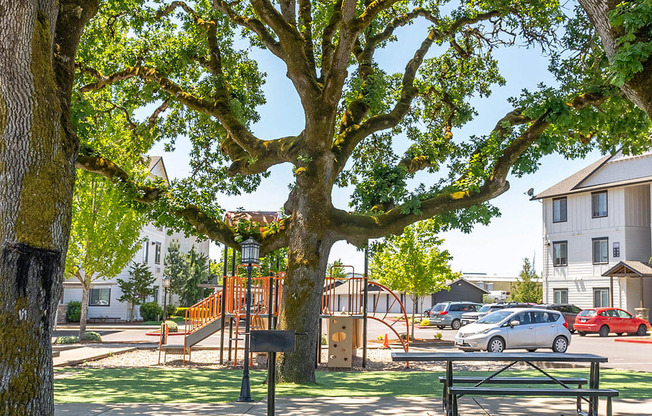 A park with a large tree and a bench at Riverplace Apartment Homes, Independence, 97351