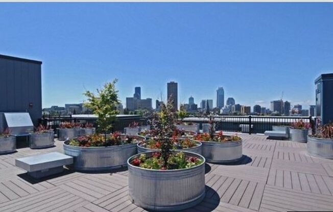 1 bedroom, 1 bathroom Condo with City View!