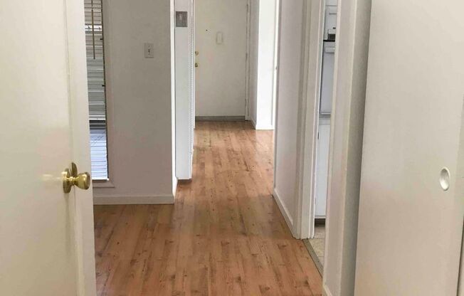 Huge! Renovated 3BR/1BA Apartment! Parking! Storage! Cats Welcomed! -PROGRESSIVE