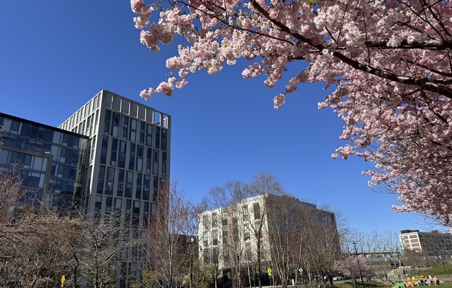 1 bed, 1.5 baths, 817 sqft, $3,800, Unit 702