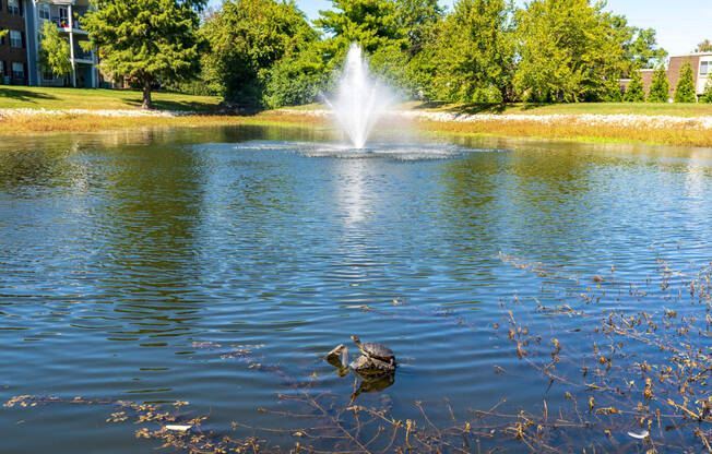 Large Pond with Fountain at Pelican Cove