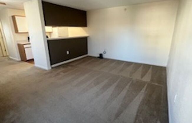 1 bed, 1 bath, 670 sqft, $1,049, Unit 101