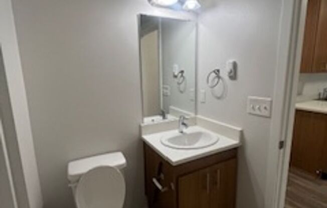 Studio, 1 bath, 501 sqft, $1,550, Unit 116