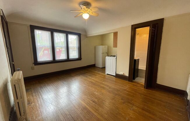 Studio, 1 bath, $725, Unit 102