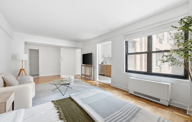 Studio, 1 bath, $4,200, Unit 8B