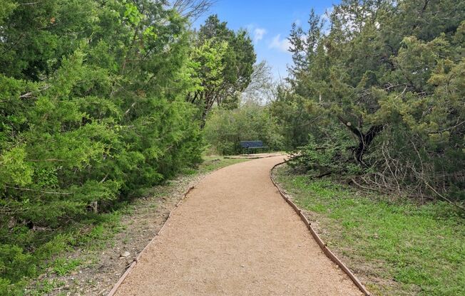 a dirt path with trees on both sides and a bench in the distance