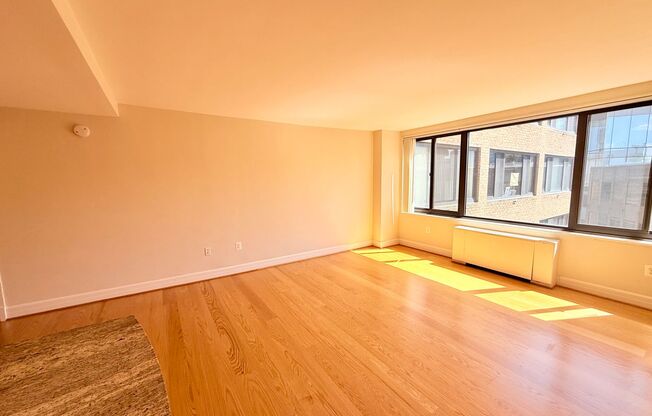 Studio, 1 bath, 460 sqft, $2,400, Unit 0310
