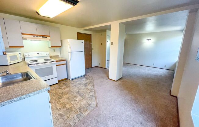 Studio, 1 bath, 413 sqft, $1,395, Unit 410