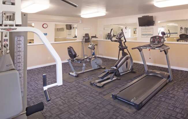 a gym with cardio equipment and weights on the floor