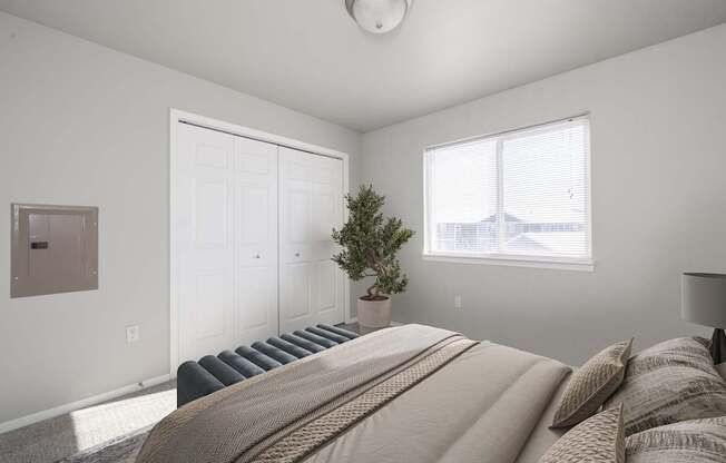 A bedroom with a large bed and a small tree in a pot.