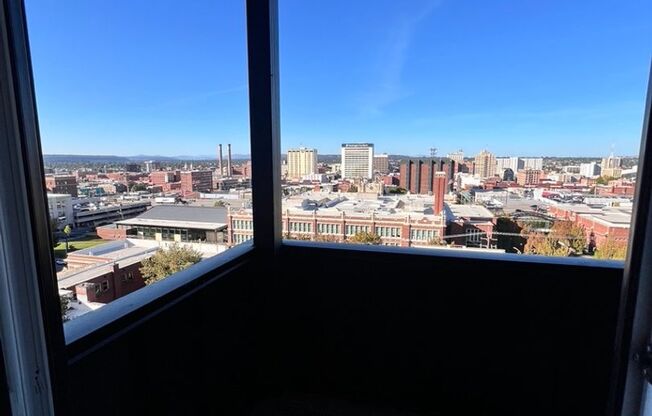 Studio, 1 bath, 484 sqft, $1,575, Unit 204