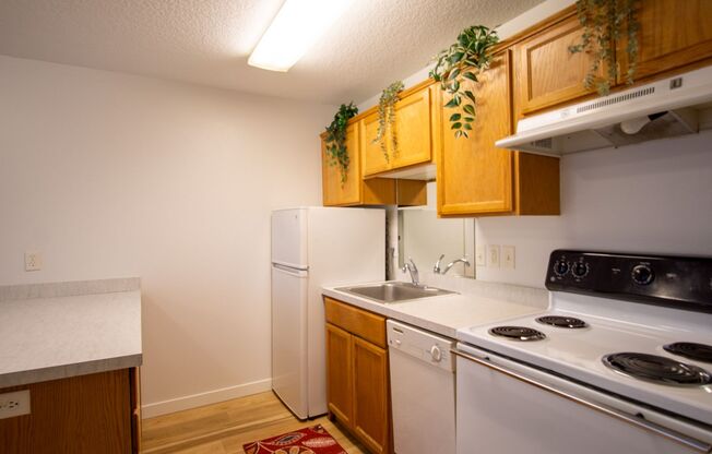 Renovated St Johns-1Bdr w/Modern Appliances + Washer/Dryer!