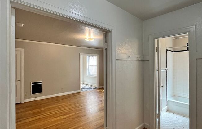 Studio, 1 bath, $1,295, Unit 207
