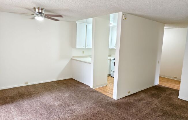 1 bed, 1 bath, 531 sqft, $1,600, Unit 161122
