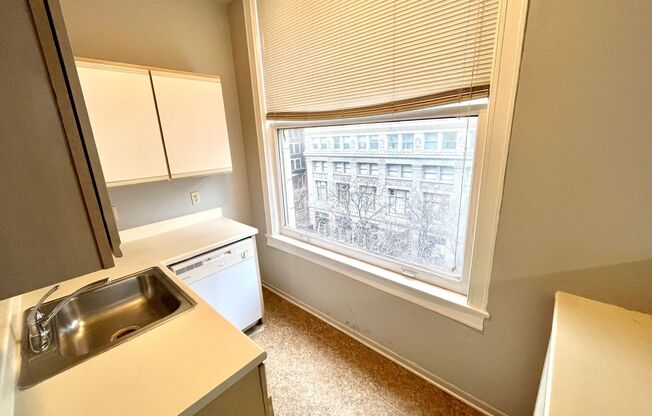 1 bed, 1 bath, $895, Unit 305 S 16th St- Unit 502