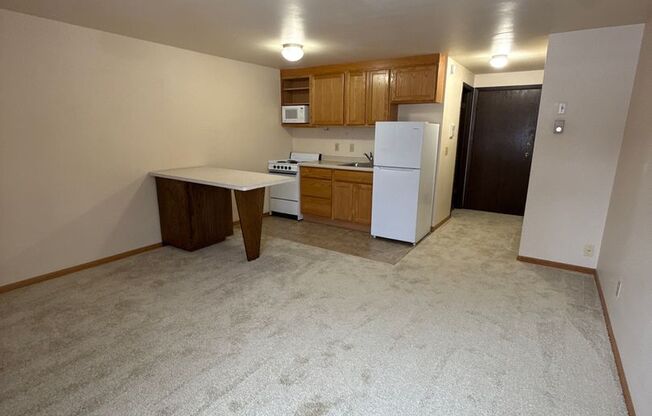 Studio, 1 bath, 300 sqft, $1,060, Unit 102-110