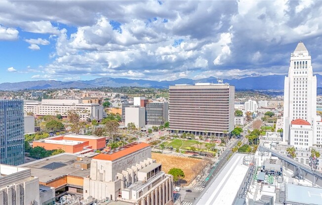 Studio, 1 bath, 790 sqft, $2,400, Unit 803