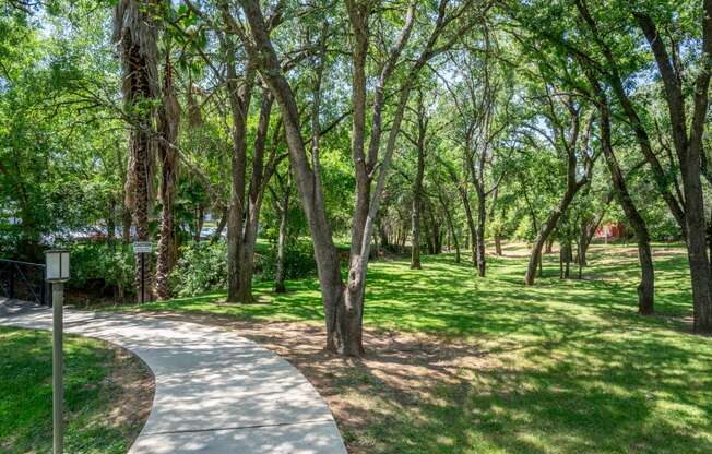 View of shaded courtyard