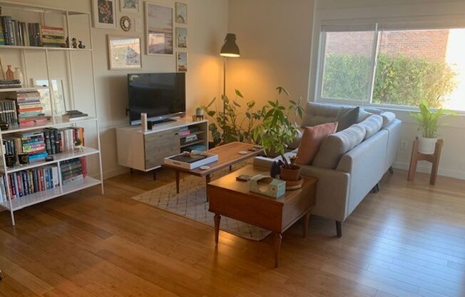 1 bed, 1 bath, $2,045