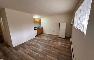 Studio, 1 bath, 320 sqft, $895, Unit A-3