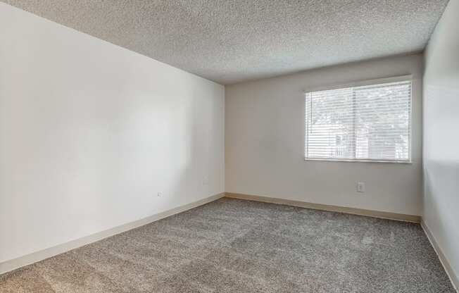 A room with a carpeted floor and a window with blinds.
