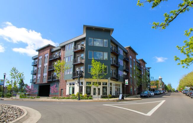 1 bed, 1 bath, 707 sqft, $1,550, Unit 202