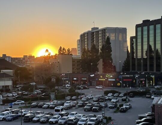 2 beds, 2 baths, 1,042 sqft, $3,575, Unit 366