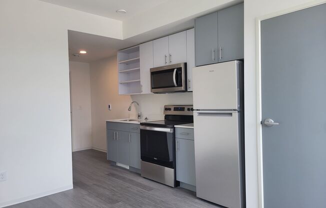 Studio, 1 bath, 262 sqft, $1,340, Unit 502