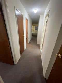 3 beds, 1 bath, 1,100 sqft, $3,200