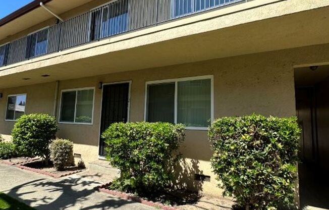 Soto 24409/APTS