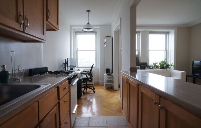 Studio, 1 bath, $1,595, Unit 1704