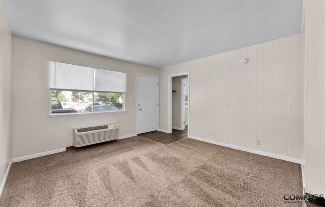 1 bed, 1 bath, 480 sqft, $875, Unit 113