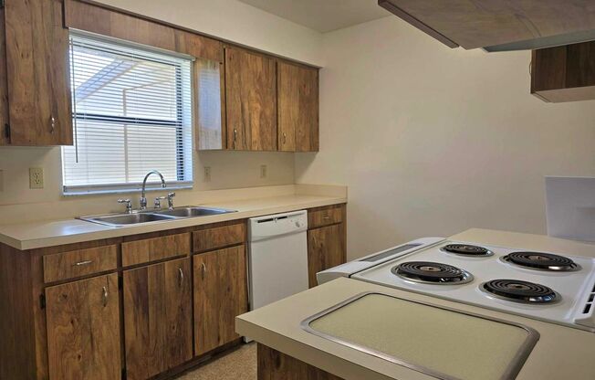 Jane Wood Rev Trust - Spoonbill