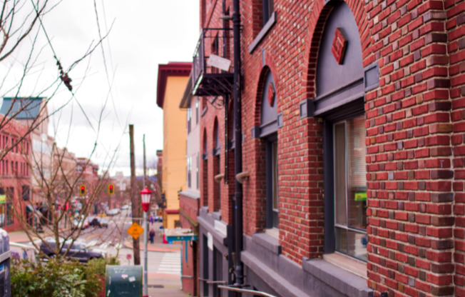 Studio, 1 bath, 305 sqft, $1,000, Unit 310