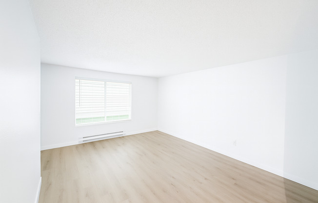 1 bed, 1 bath, 590 sqft, $1,250, Unit 313