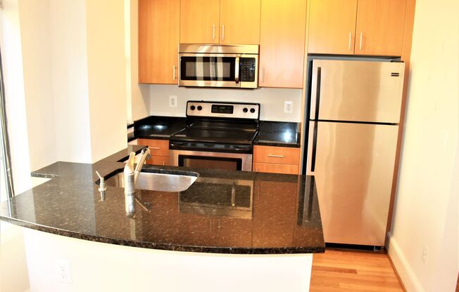1 bed, 1 bath, 505 sqft, $2,450, Unit 220