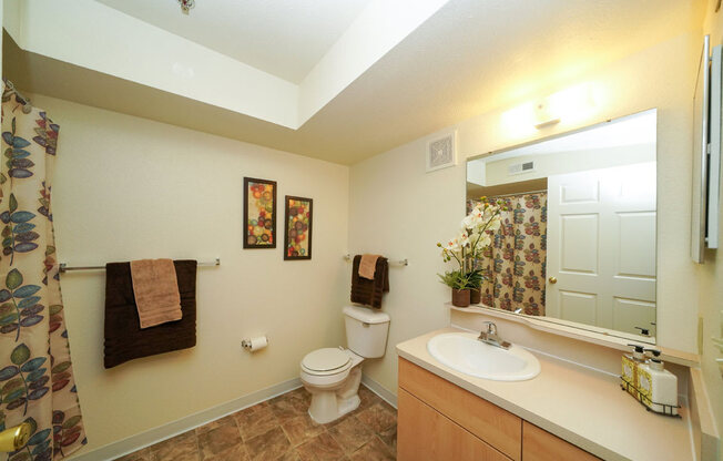 Large Bathrooms at Limestone Creek Apartment Homes, Alabama, 35756
