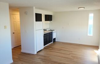 1 bed, 1 bath, 650 sqft, $870, Unit 3004-7